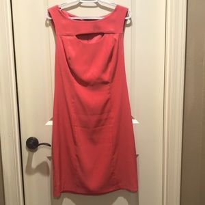 Dressbarn Dress